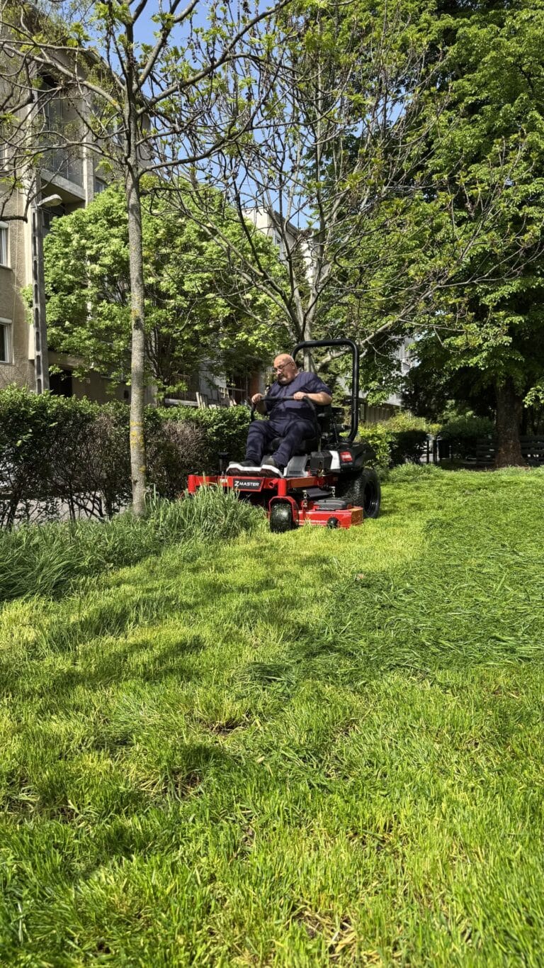 20250422_083107613_iOS